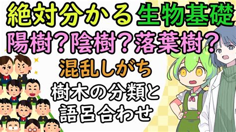 陰木|陰樹と陽樹の違いと代表的な樹木 